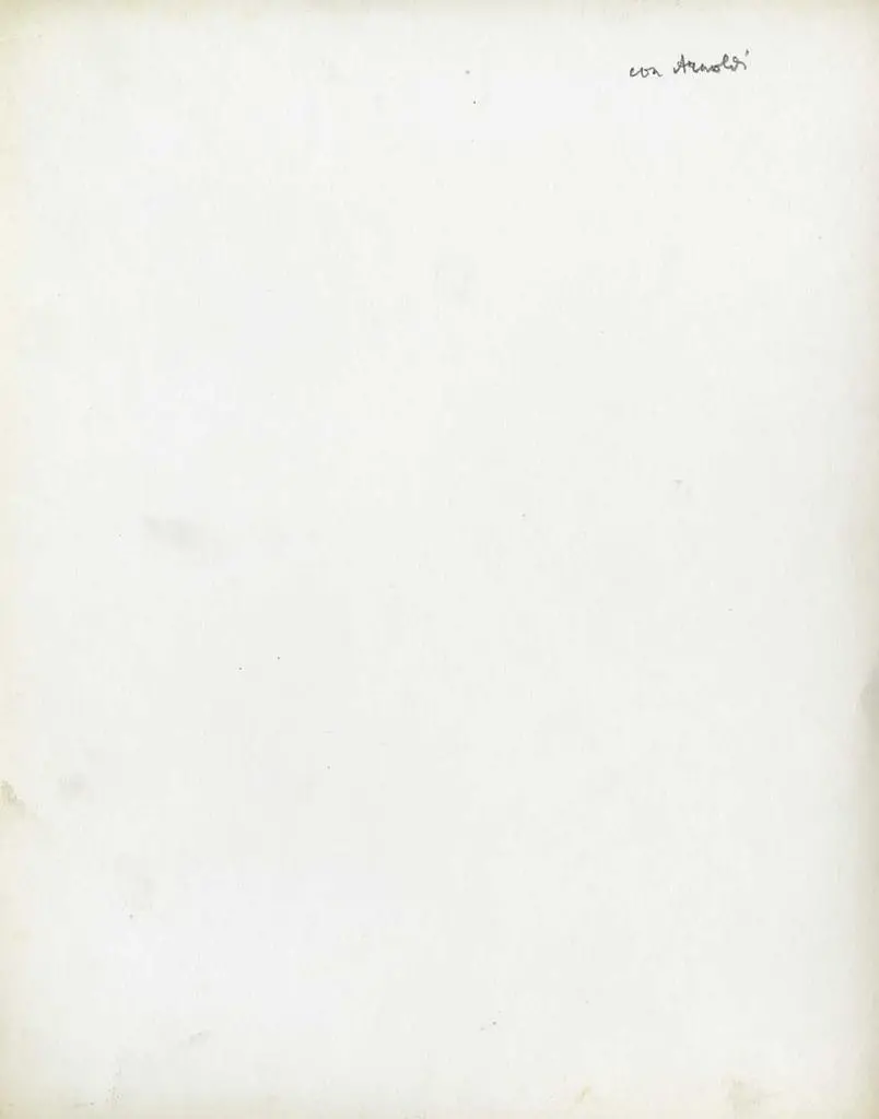 Anonimo , Arnoldi Alberto - ambito - sec. XIV - Madonna con Bambino