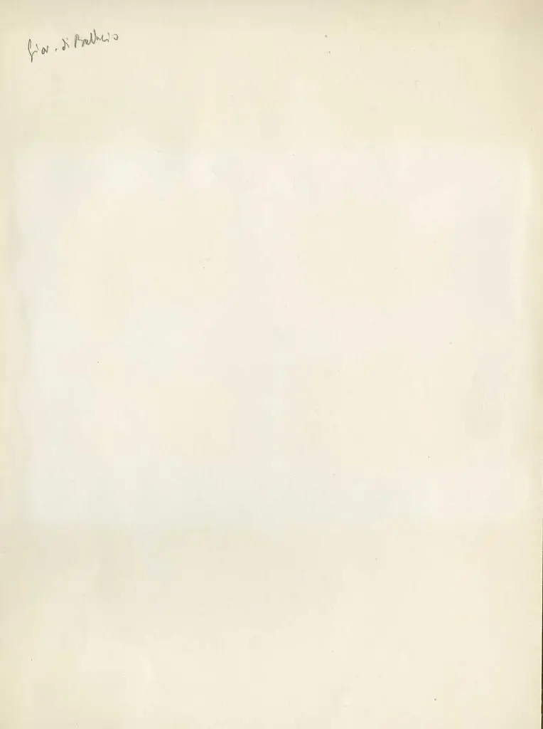 Anonimo , Giovanni di Balduccio - sec. XIV - Natività di Gesù