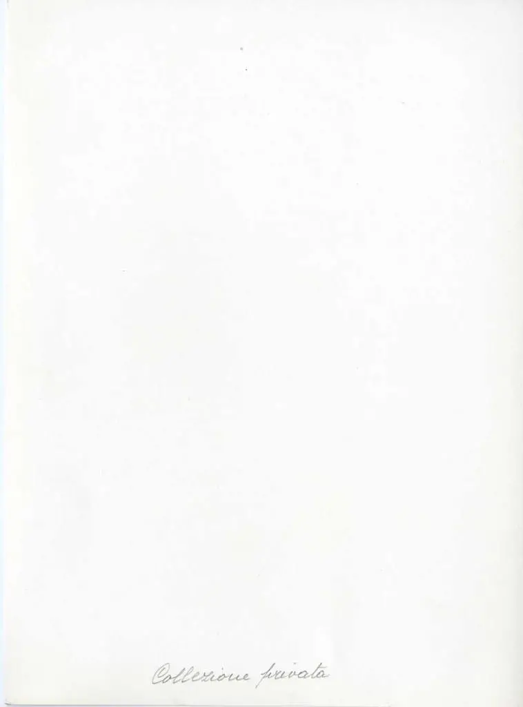 Anonimo , Maestro della santa Caterina Gualino - sec. XIV - Madonna con Bambino in trono