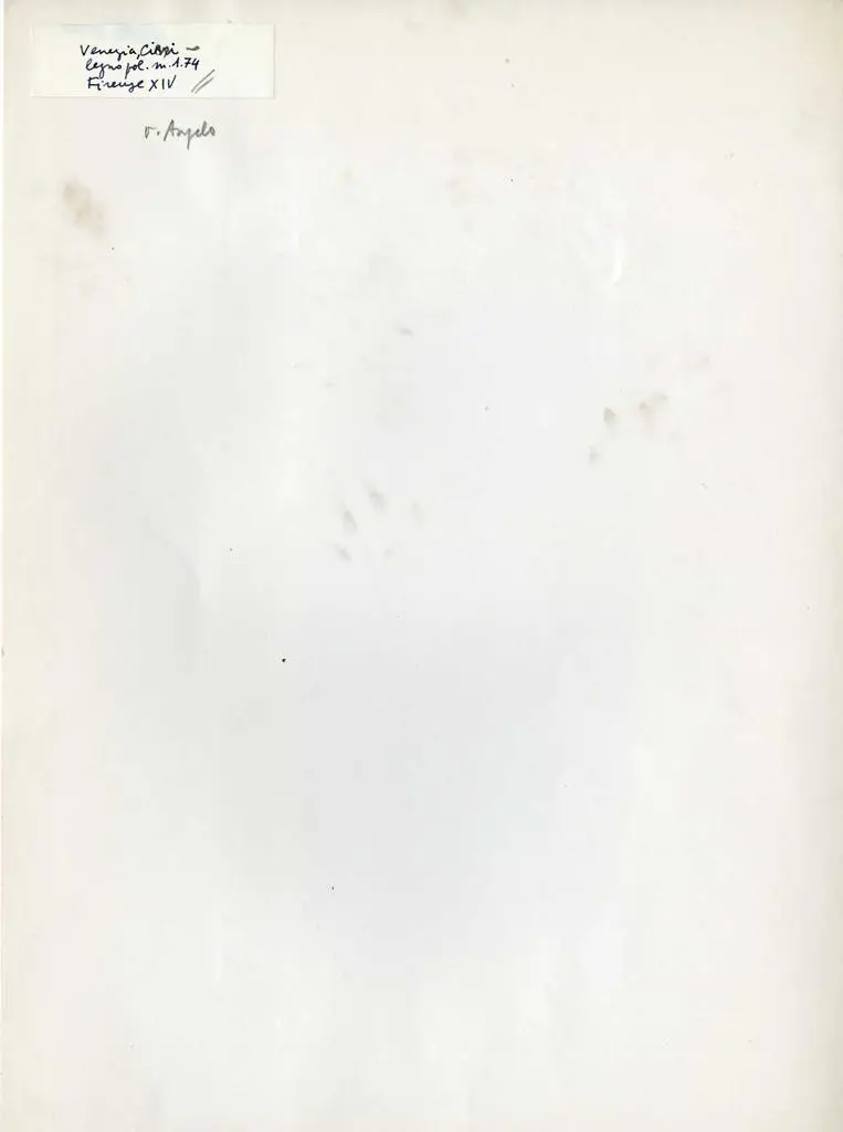 Anonimo , Piero d'Angelo - sec. XIV - Madonna con Bambino che gioca con un uccellino