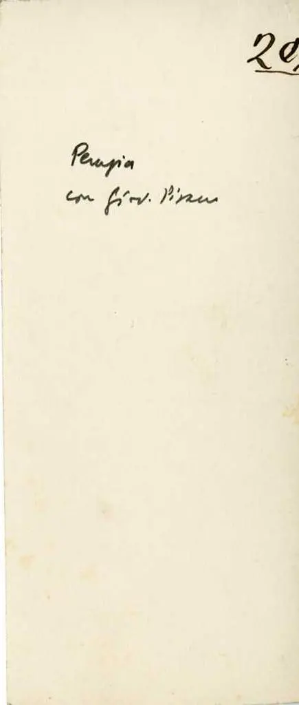 Anonimo , Pisano Giovanni; Pisano Nicola - sec. XIII - Figura maschile (Matteo da Correggio?). Particolare del bacino superiore della Fontana Maggiore di Perugia