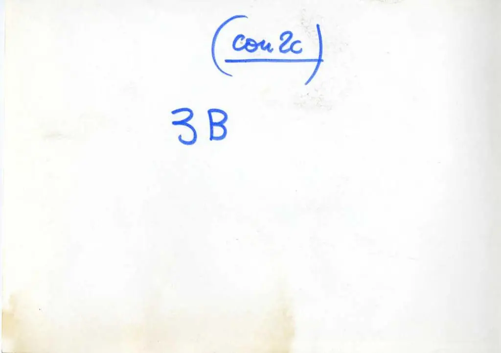 Anonimo , Pisano Nicola; Arnolfo di Cambio; Lapo - sec. XIII - San Domenico