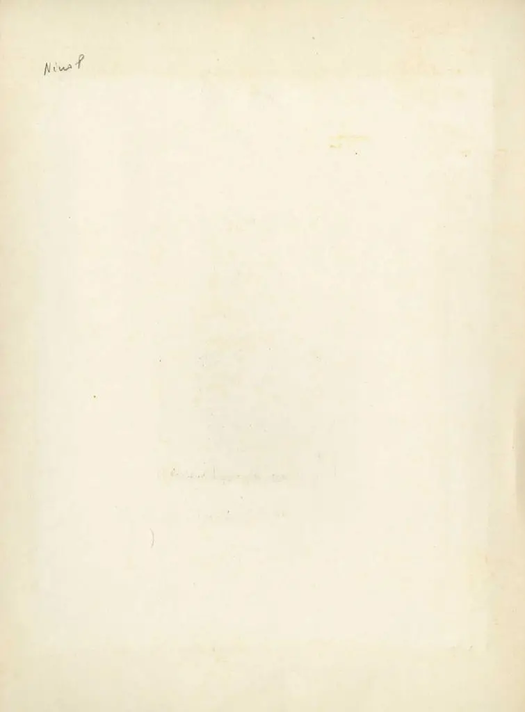 Anonimo , Pisano Nino - sec. XIV - Madonna con Bambino per il sepolcro di Aldobrandino Cavalcanti