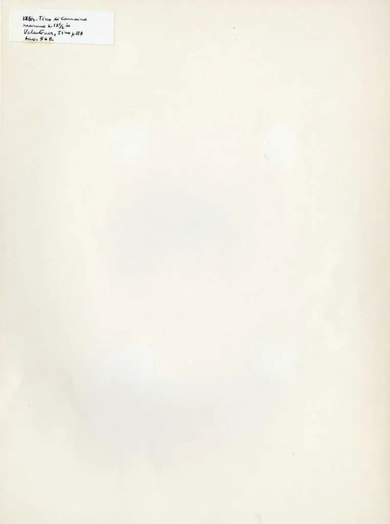 Anonimo , Tino di Camaino - sec. XIV - Madonna con Bambino che gioca con un uccellino