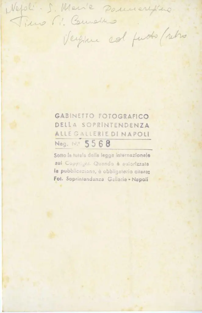 Fototeca della Soprintendenza speciale per il patrimonio storico, artistico ed etnoantropologico e per il Polo museale della citt&agrave; di Napoli , Napoli, S. Maria Donnaregina. Tino di Camaino. Vergine col putto (retro)