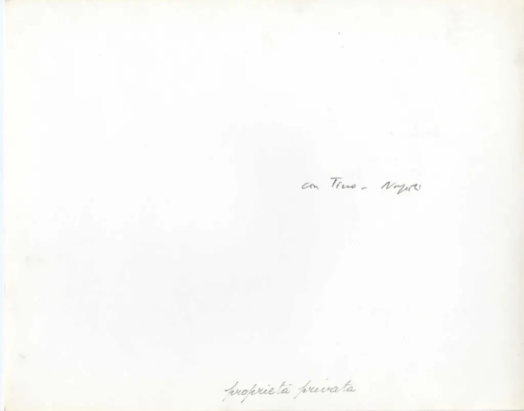 Anonimo , Tino di Camaino - e aiuti - sec. XIV - Madonna con Bambino, san Giovanni Battista e santa Caterina d'Alessandria