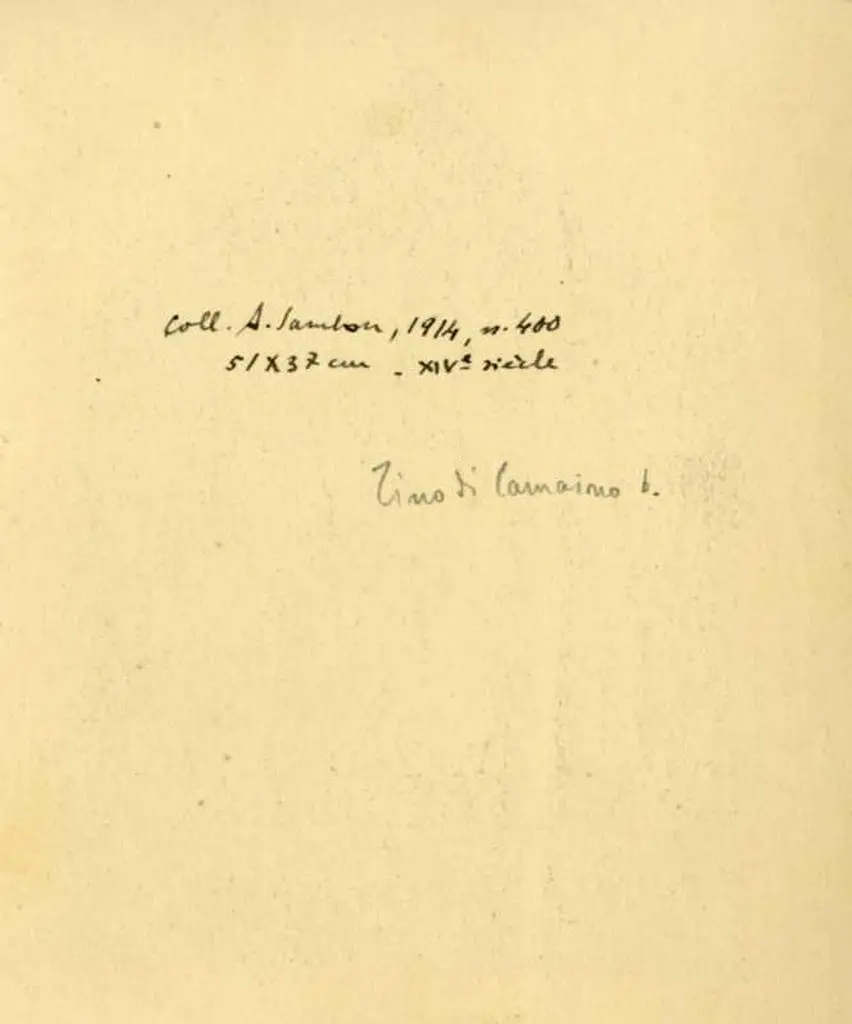 Anonimo , Tino di Camaino - e bottega - sec. XIV - Madonna con Bambino, san Francesco d'Assisi, santa Chiara, beata Sancia d'Aragona e angeli