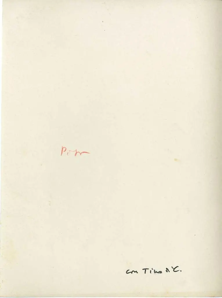 Anonimo , Tino di Camaino - e aiuti - sec. XIV - Morte e funerali di san Ranieri