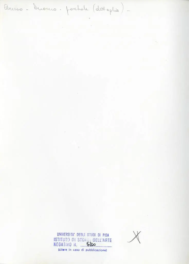 Universit&agrave; di Pisa. Dipartimento di Storia delle Arti , Arezzo. Duomo. Portale (dettaglio)