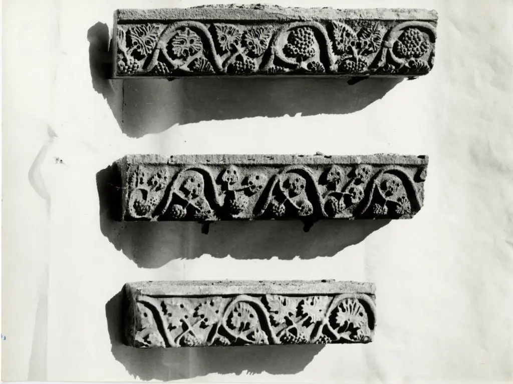 Universit&agrave; di Pisa. Dipartimento di Storia delle Arti , Anonimo toscano sec. XII - Motivi decorativi fitomorfi con foglie d'acanto e girali di tralci con grappoli d&rsquo;uva e foglie di vite