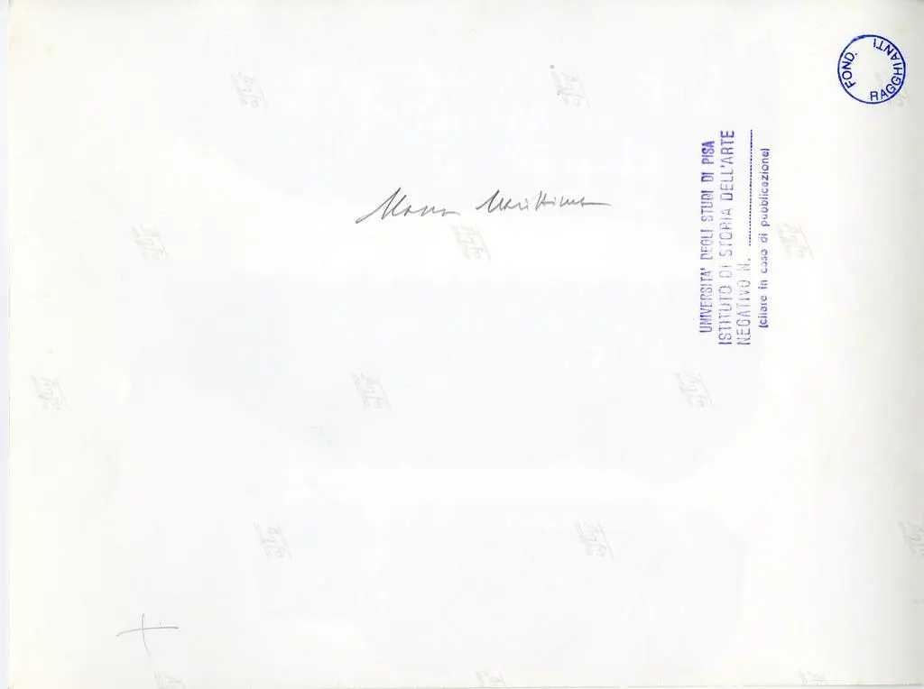 Universit&agrave; di Pisa. Dipartimento di Storia delle Arti , Anonimo toscano sec. XII - Motivi decorativi fitomorfi con foglie d'acanto e girali di tralci con grappoli d&rsquo;uva e foglie di vite