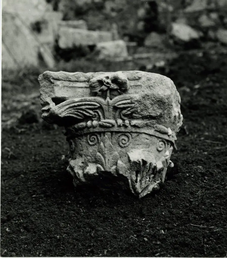 Università di Pisa. Dipartimento di Storia delle Arti , Massa Marittima. Capitello romano sec. I - II