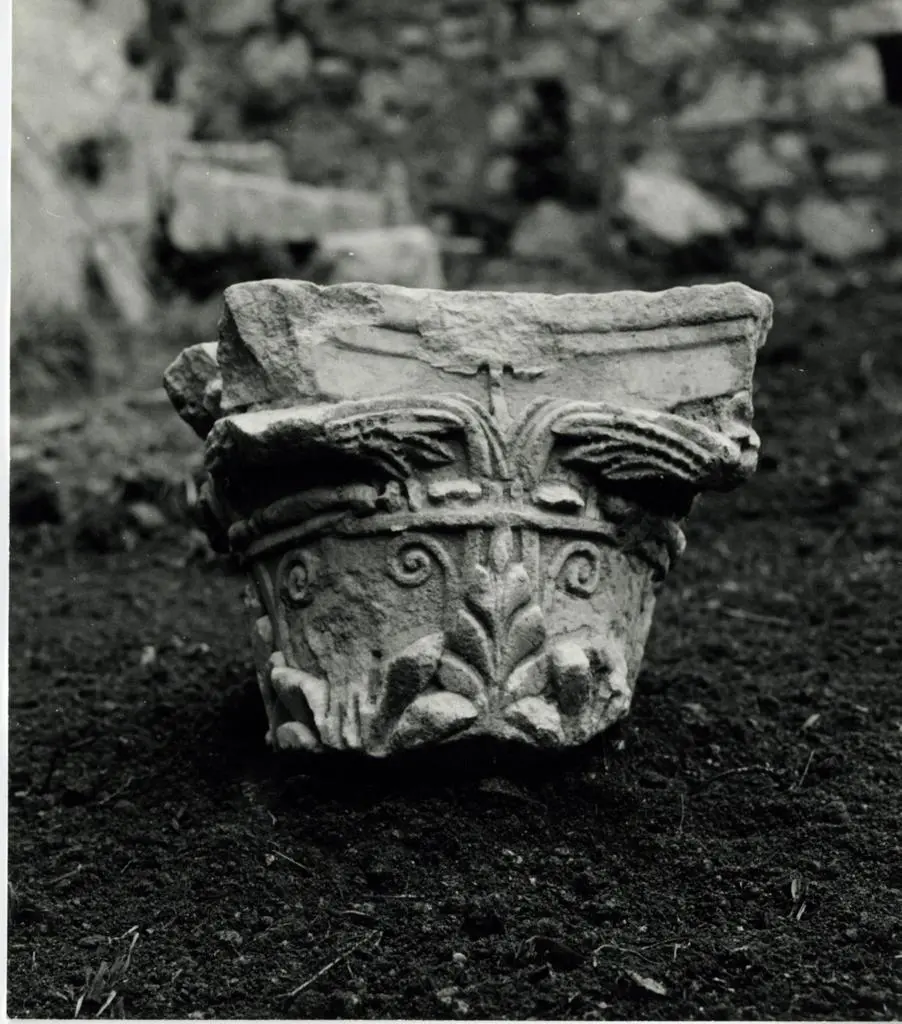 Università di Pisa. Dipartimento di Storia delle Arti , Anonimo sec. XI - Motivi decorativi vegetali e volute