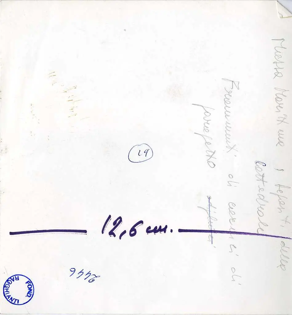 Anonimo , Massa Marittima: i depositi della Cattedrale. Frammenti di cornici di parapetto o di plutei