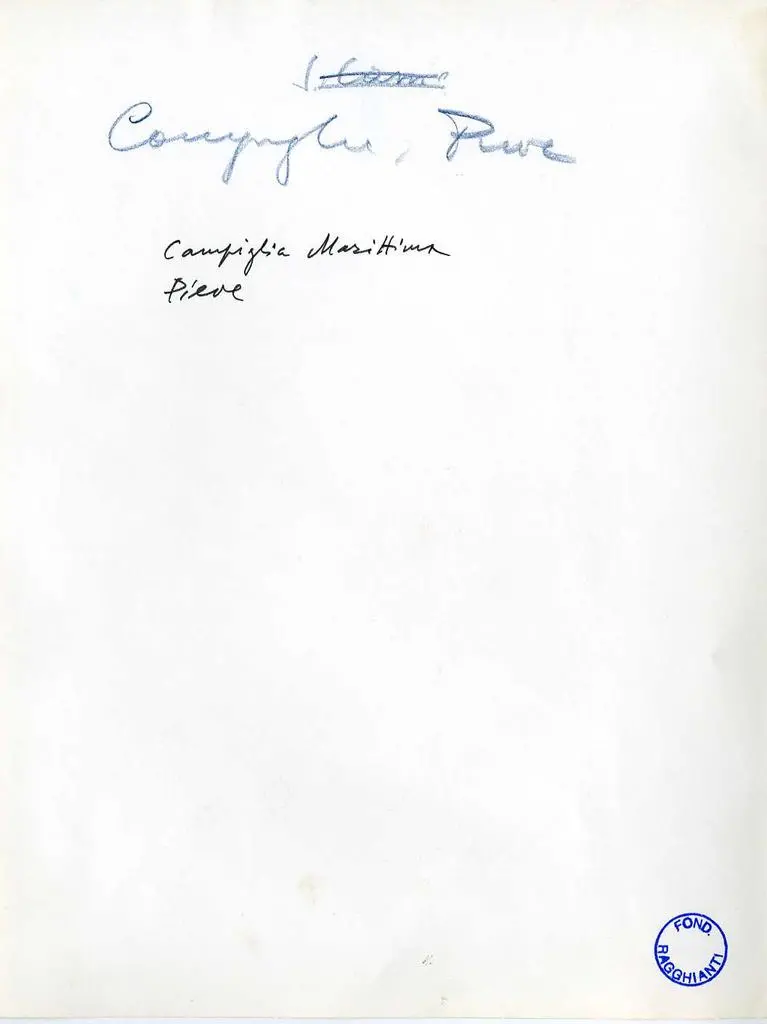 Anonimo , Maestro Matteo - sec. XII - Scena di caccia al cinghiale; Motivi decorativi fitomorfi; Leone; Aquila