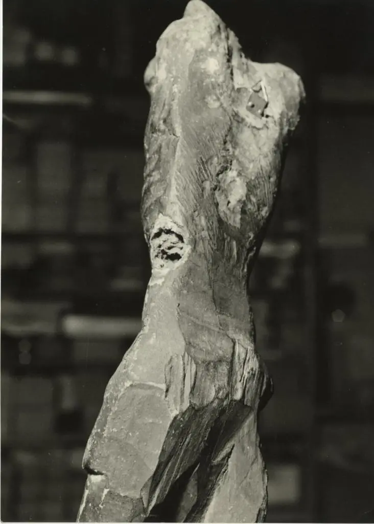 Anonimo , Anonimo sec. XIII - Cristo crocifisso. Particolare del tergo