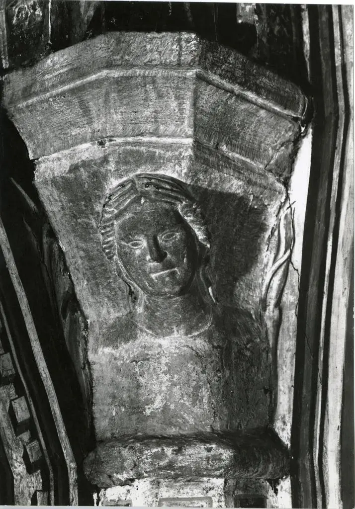 Anonimo sec. XIV , Testa di giovane