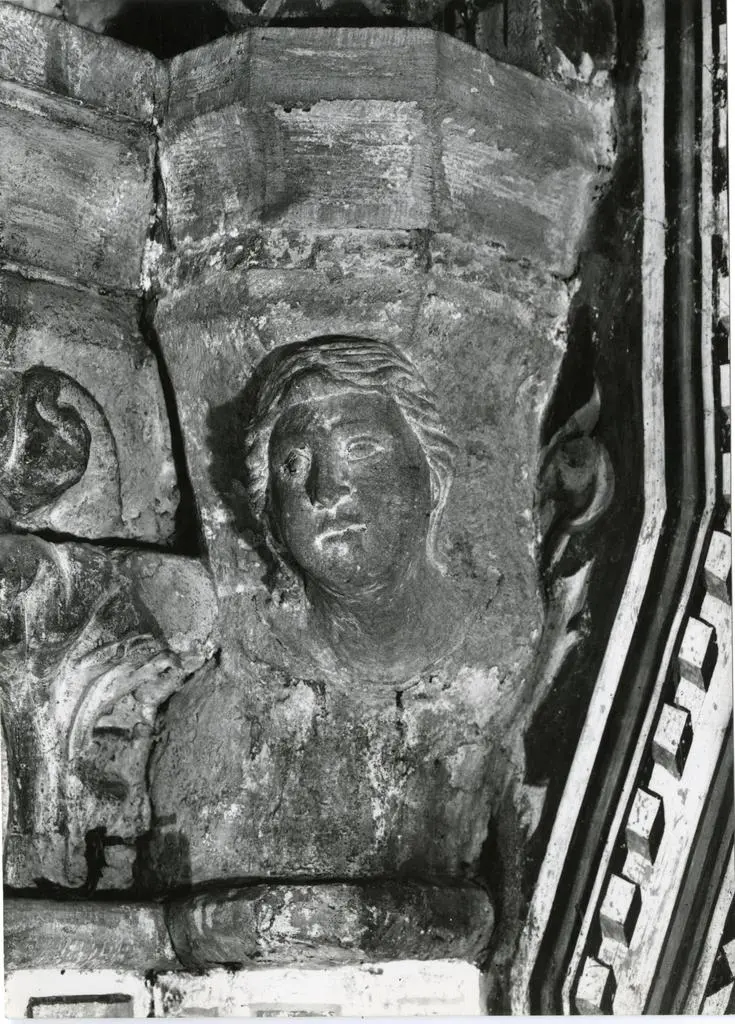 Anonimo sec. XIV , Testa di giovane