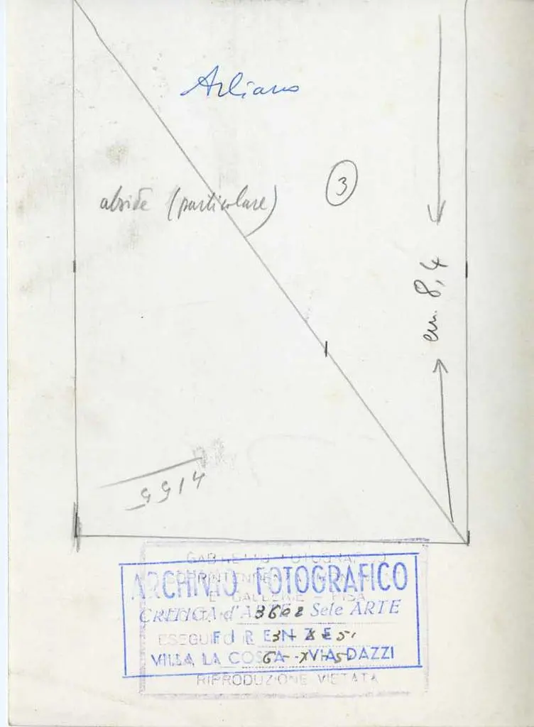 Fototeca della Soprintendenza per i beni architettonici e paesaggistici, storici, artistici ed etnoantropologici per le province di Pisa e Livorno , Arliano, abside (particolare)