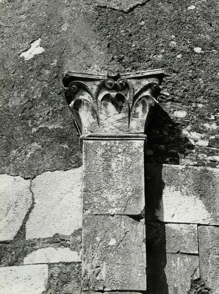 Anonimo , Motivi decorativi a volute, Motivo decorativo a foglie