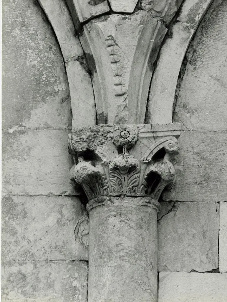 Anonimo , Elementi decorativi architettonici, Motivi decorativi a volute, Motivi decorativi vegetali