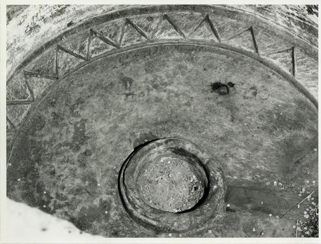 Anonimo , Motivi decorativi geometrici, Motivi decorativi fitomorfi