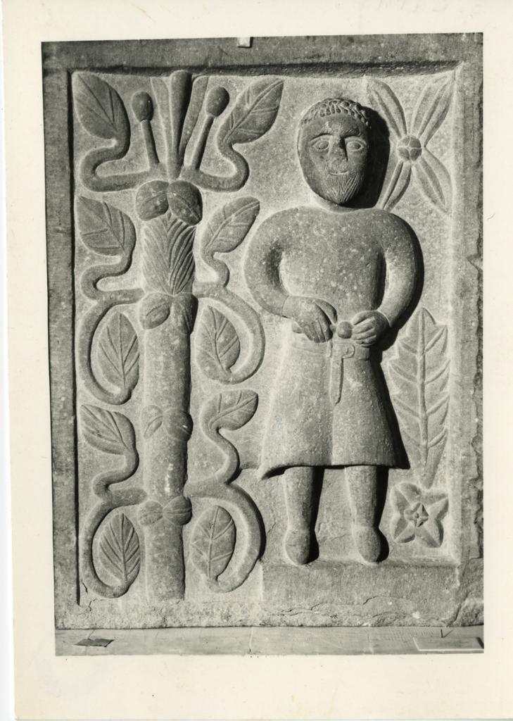 Anonimo , Anonimo lucchese - sec. XIII - Figura maschile; Palma; Motivi decorativi vegetali