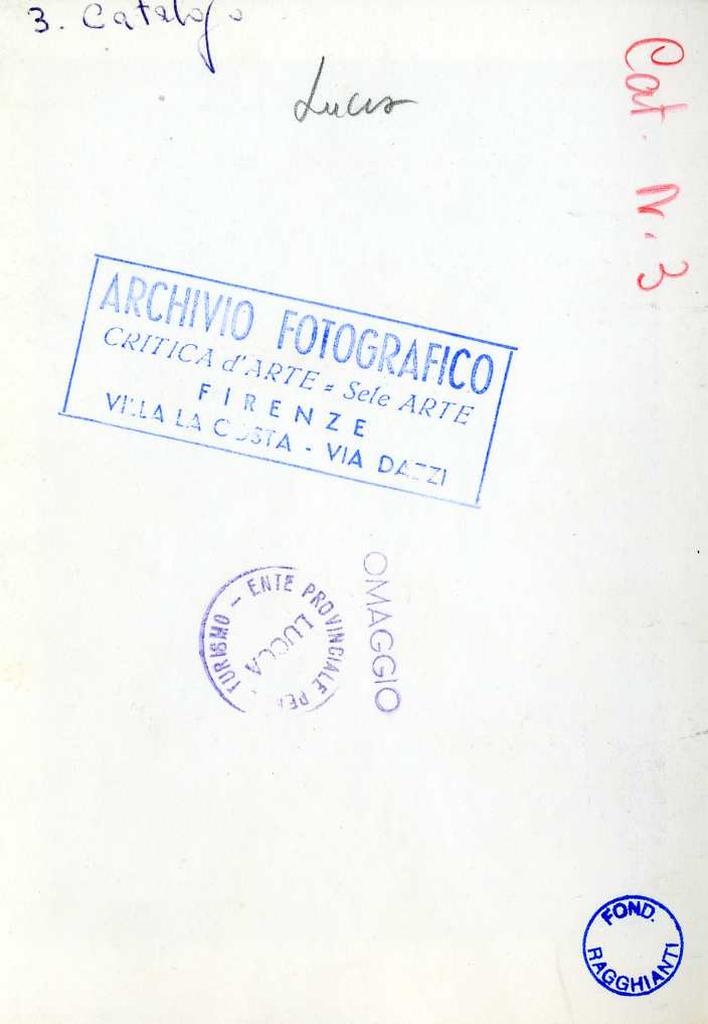 Anonimo , Anonimo lucchese - sec. XIII - Figura maschile; Palma; Motivi decorativi vegetali