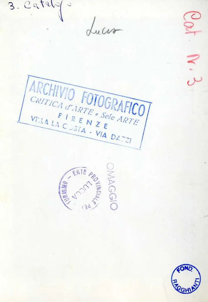 Anonimo , Anonimo lucchese - sec. XIII - Figura maschile; Palma; Motivi decorativi vegetali