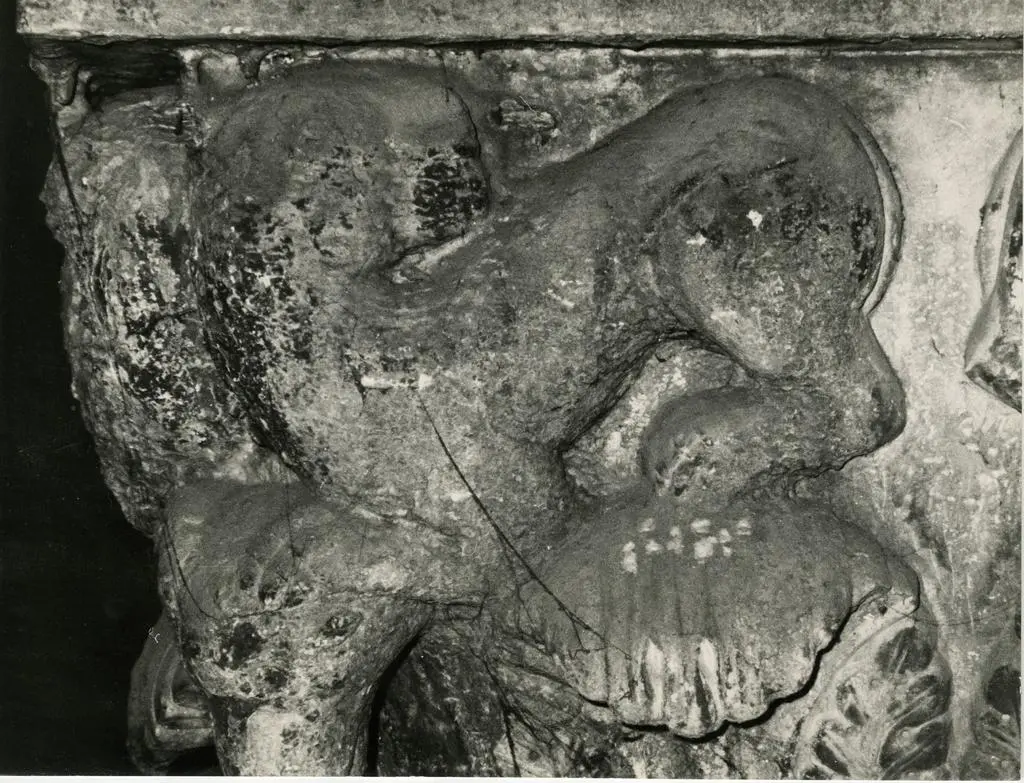 Anonimo, maniera , Motivi decorativi vegetali e animali, Leone