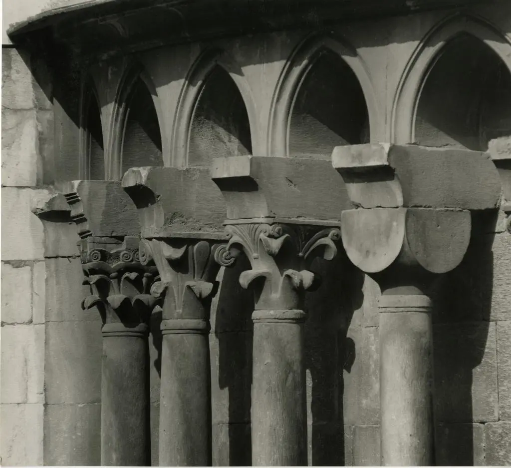 Anonimo, maniera , Motivi decorativi a girali vegetali, Motivi decorativi a volute