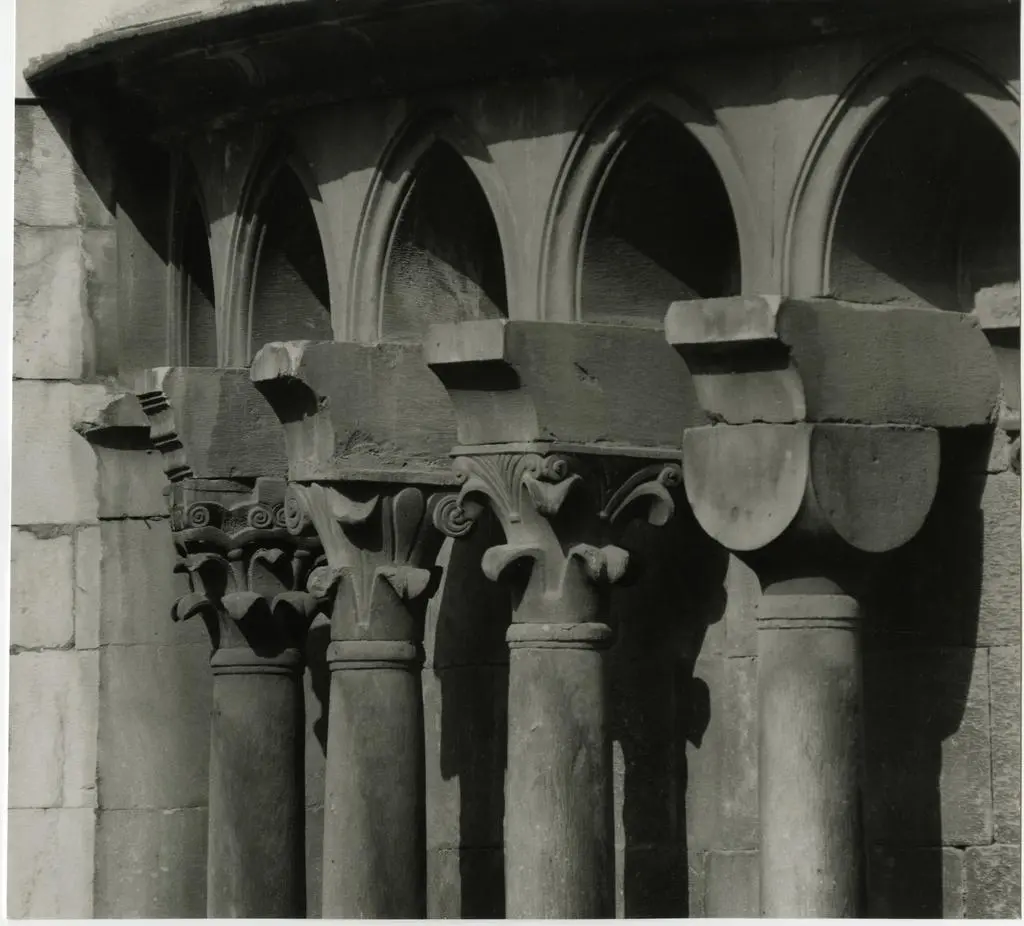 Anonimo, maniera , Motivi decorativi vegetali a volute, Motivo decorativo a foglie