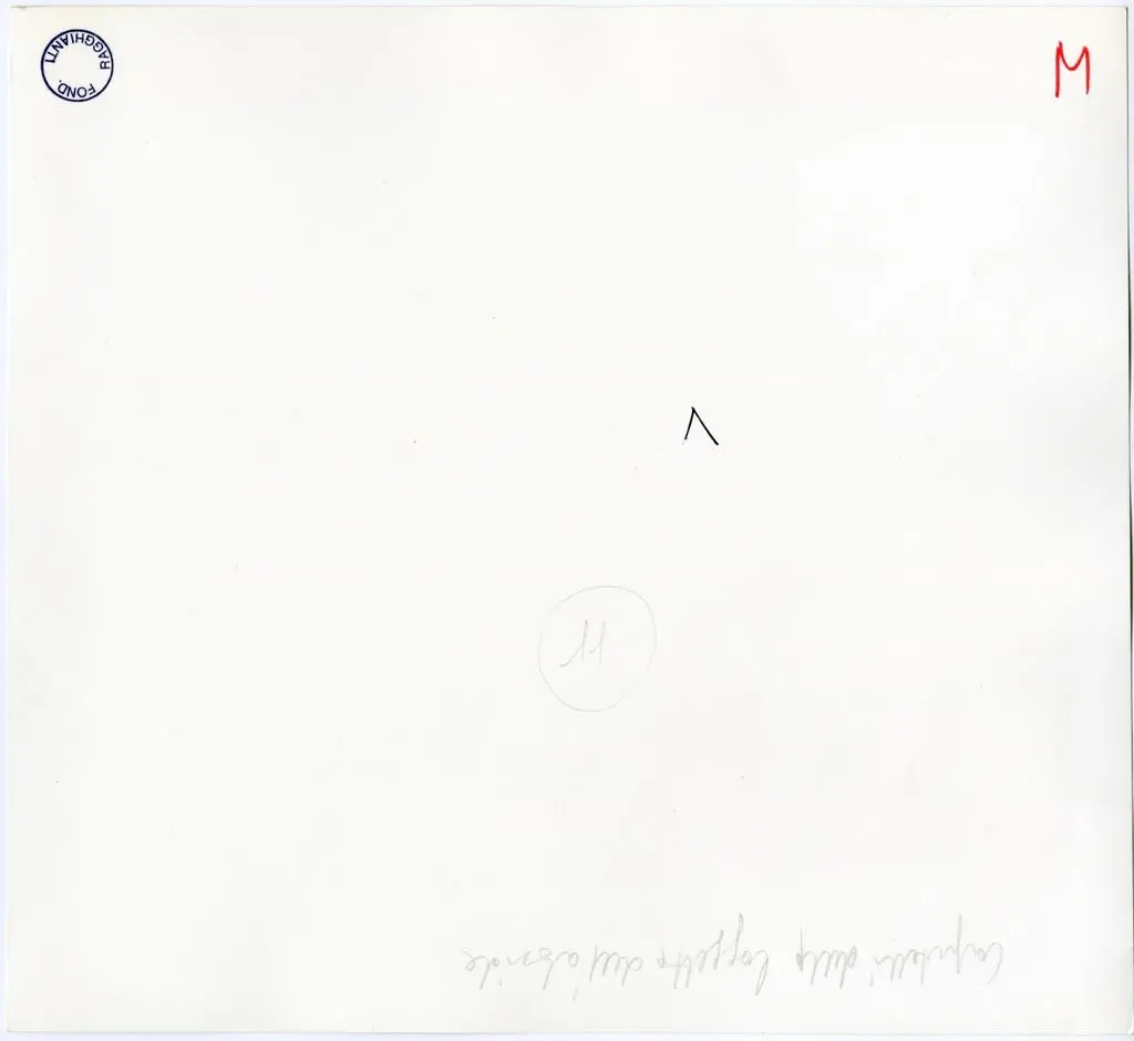 Gasperini M./ Colombo C. , Capitelli delle loggette dell'abside