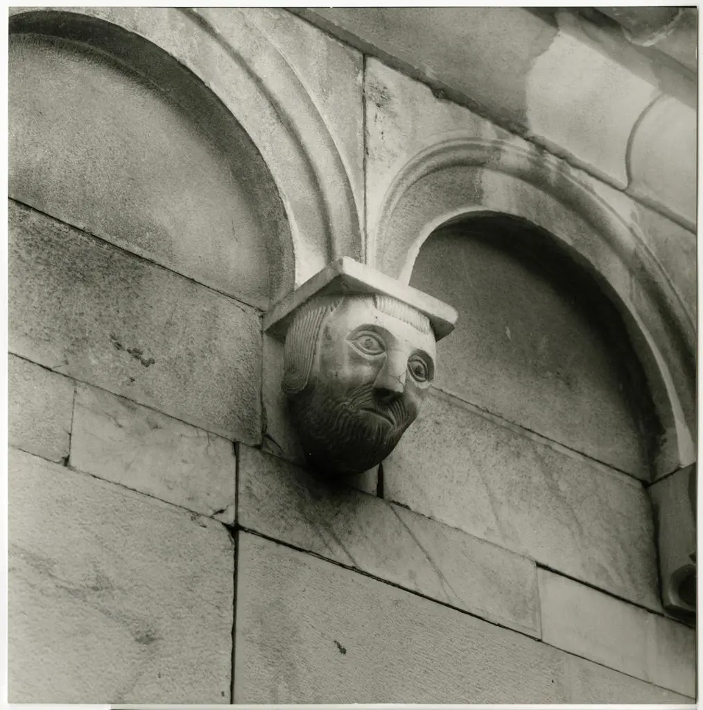 Colombo C./ Gasperini M. , Peduccio sulla chiostra o lato sinistro