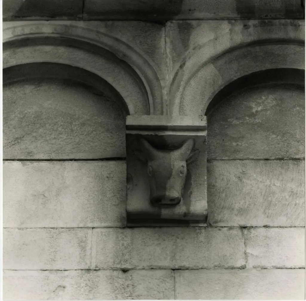 Anonimo, maniera , Toro