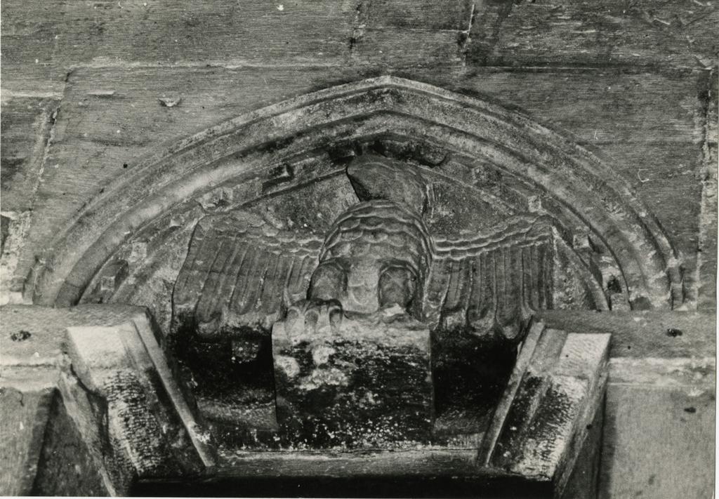 Anonimo , Aquila nell'ogiva della terza monofora della parete sinistra della navata centrale del Duomo di Carrara