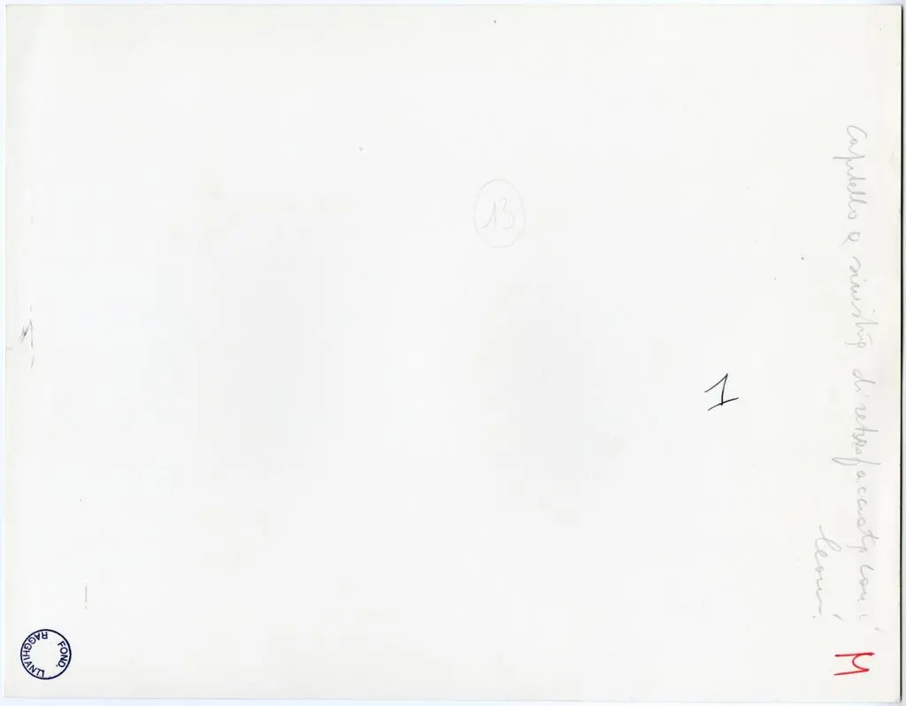 Colombo C./ Gasperini M. , Capitello a sinistra di retrofacciata con i leoni