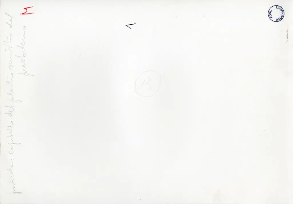 Anonimo , Particolare capitello del pilastro sinistro del presbiterio