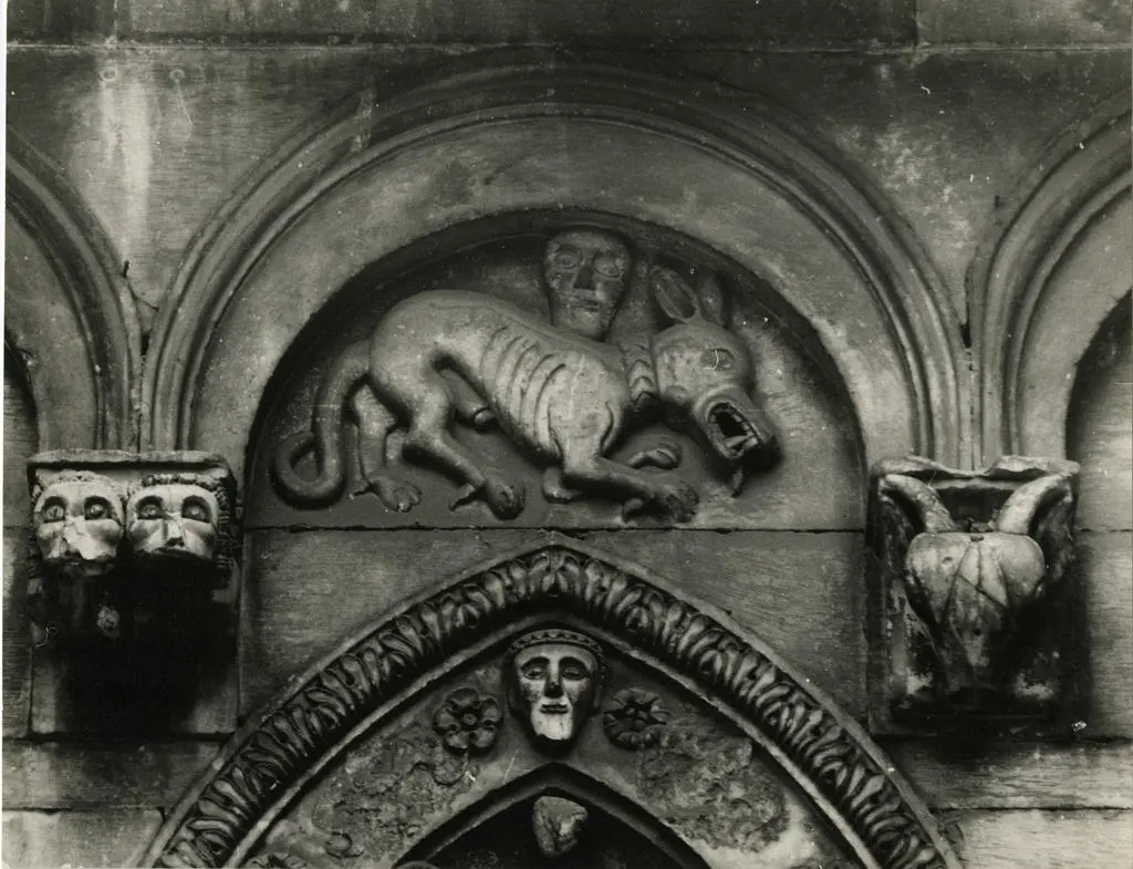 Anonimo , Monofora del fianco sud del Duomo di Carrara, particolare con il cane