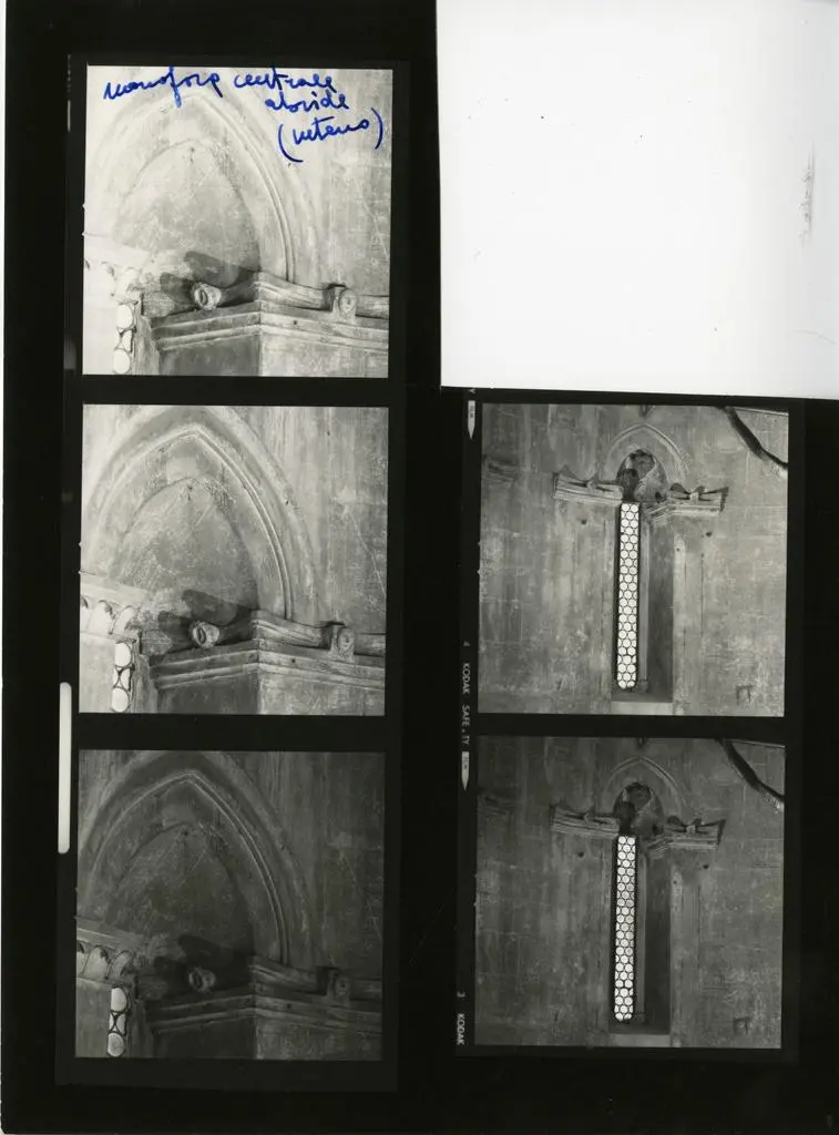 Anonimo , Stampa di provini rappresentanti la monofora centrale dell'abside del Duomo di Carrara