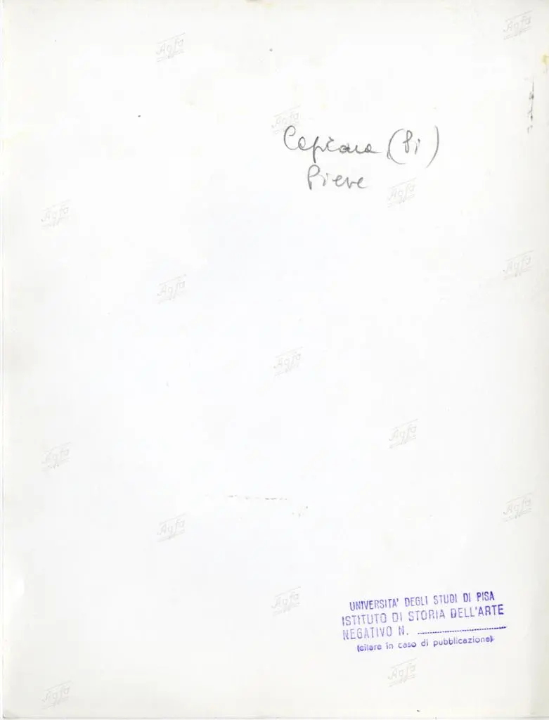 Universit&agrave; di Pisa. Dipartimento di Storia delle Arti , Capraia (PI). Pieve