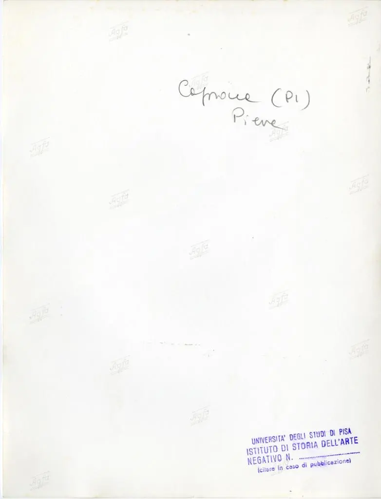 Universit&agrave; di Pisa. Dipartimento di Storia delle Arti , Capraia (PI). Pieve