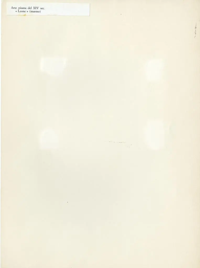 Anonimo , Arte pisana del XIV sec./ <Leone> (marmo)