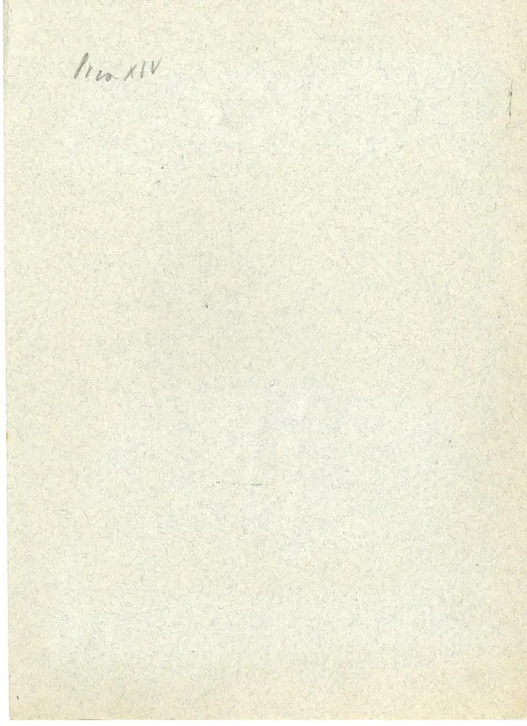 Anonimo , Tino di Camaino - seguace - sec. XIV - Consigliere