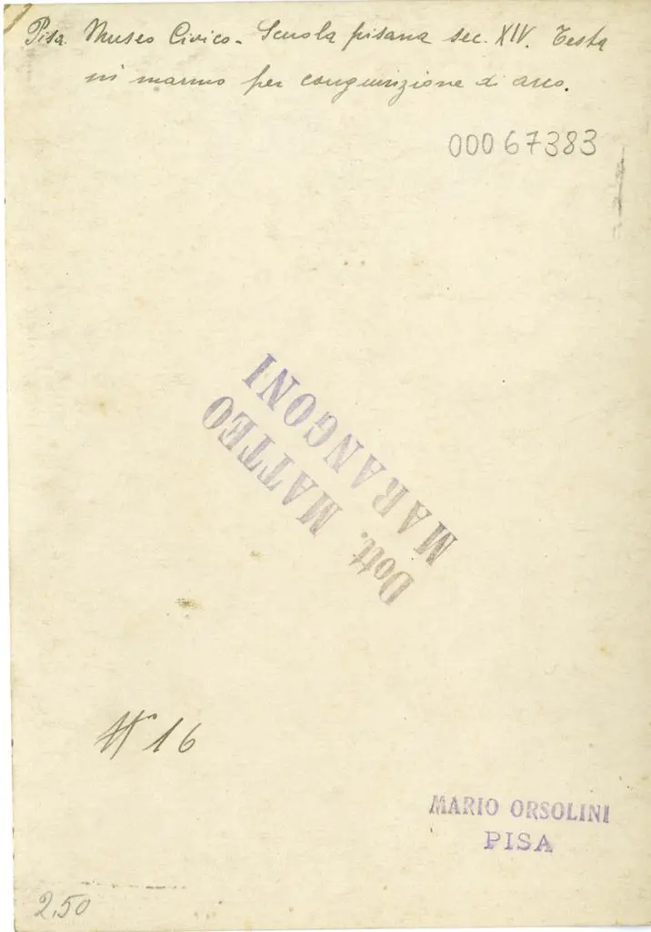 Orsolini, Mario , Pisa. Museo Civico. Scuola pisana sec. XIV. Testa in marmo per congiunzione di arco