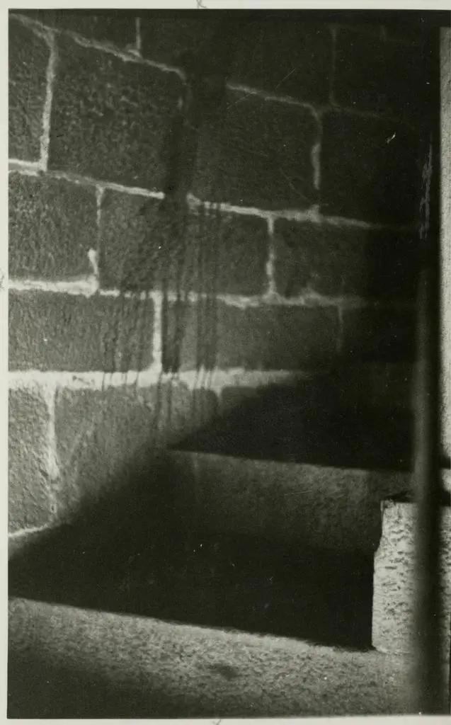 Anonimo , Anonimo toscano - sec. XII/ XIII - scala