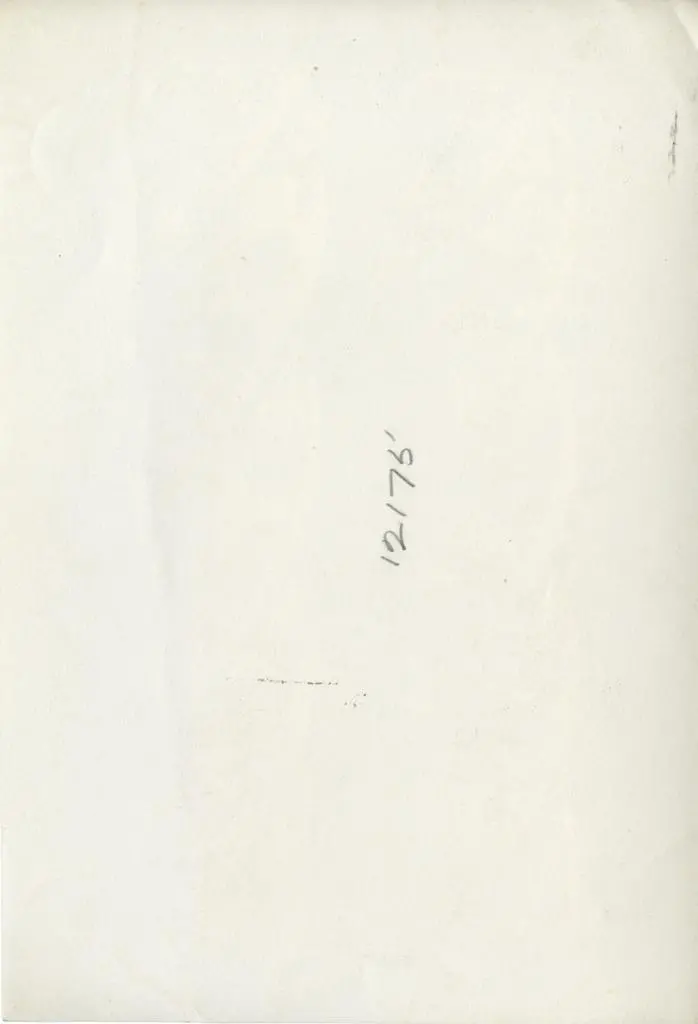 Anonimo , Tino di Camaino - e seguaci - sec. XIV - Colonne tortili con motivi decorativi vegetali con putti