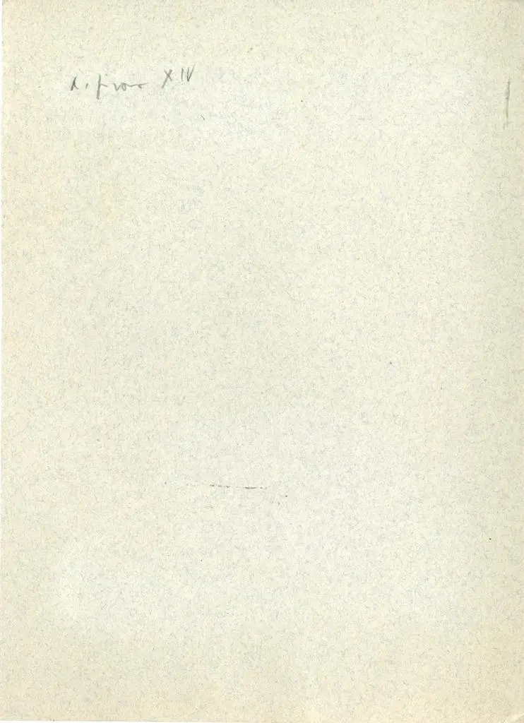 Anonimo , Tino di Camaino; Lupo di Francesco - e collaboratori; - sec. XIV - Consigliere, particolare del busto