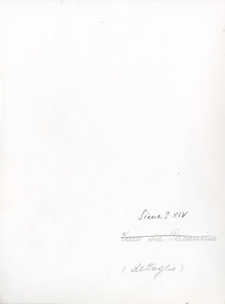 Anonimo , Anonimo senese (?) - sec. XIV - Madonna con Bambino in trono, particolare