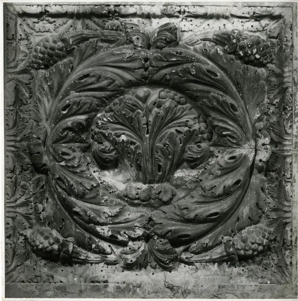 Pisano Nicola, scuola , Motivo decorativo fitomorfo con foglie d'acanto